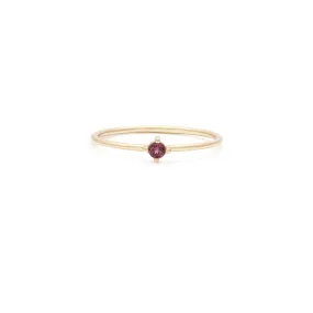 Element Ring | 14k Gold & Garnet