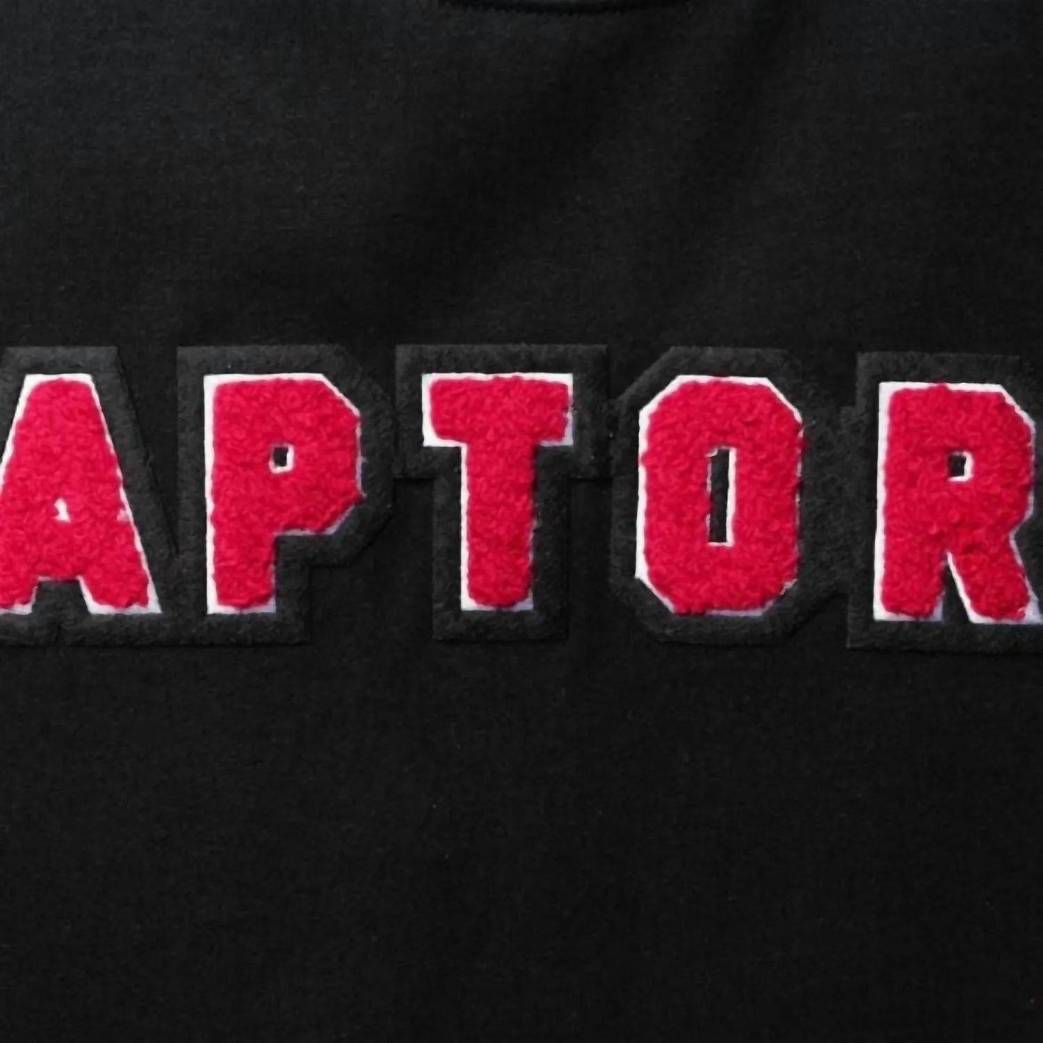 Men's Toronto Raptors Chenille Tee In Black