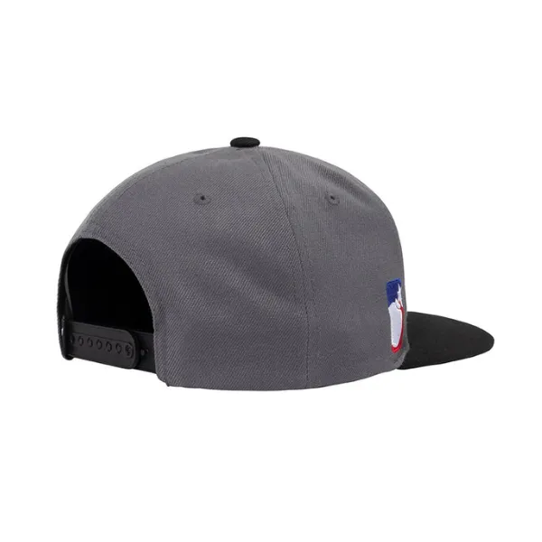 The Hundreds Team 2 Snapback - Grey